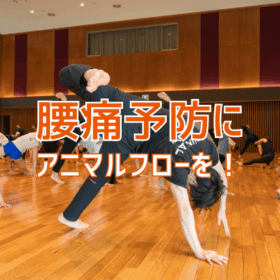 腰痛を繰り返さない体を作る！正しい動きとアニマルフロー活用法
